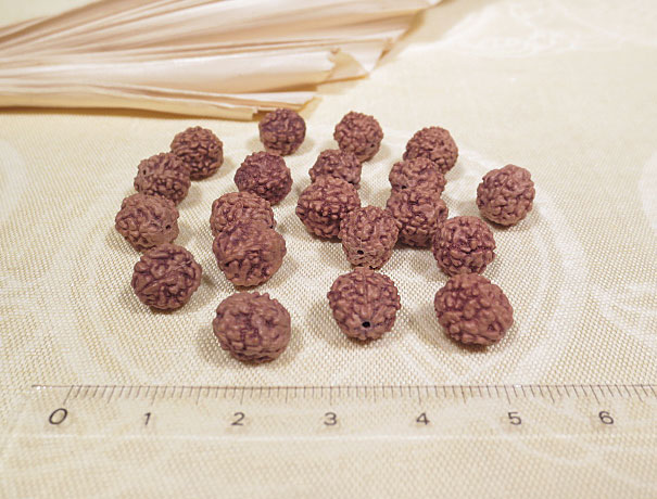 NEPAL Shivas Auge 20 Original Rudraksha Perlen 7mm 